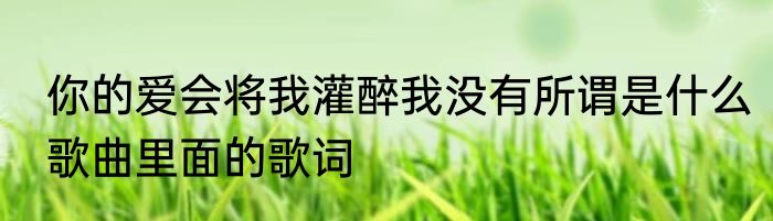 你的爱会将我灌醉我没有所谓是什么歌曲里面的歌词