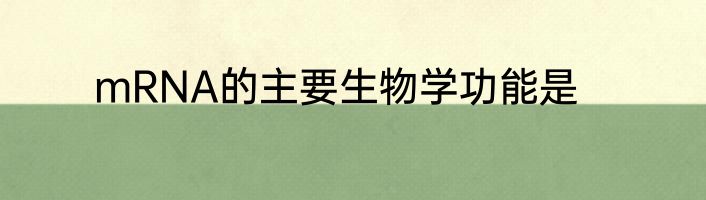mRNA的主要生物学功能是