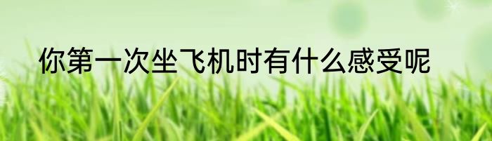 你第一次坐飞机时有什么感受呢