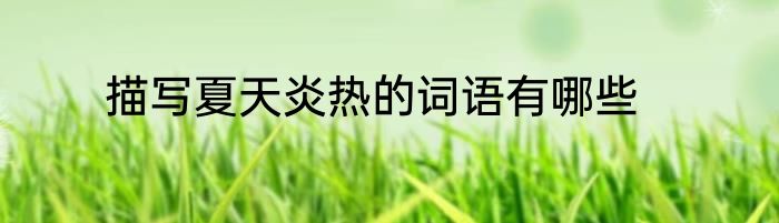 描写夏天炎热的词语有哪些