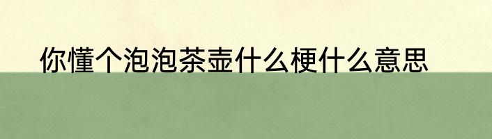 你懂个泡泡茶壶什么梗什么意思