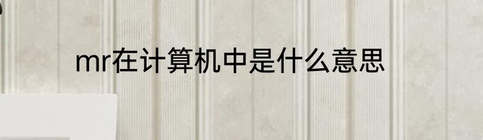 mr在计算机中是什么意思