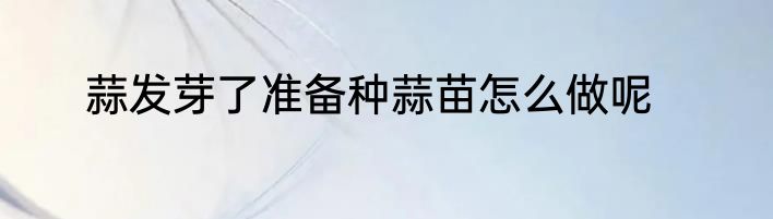 蒜发芽了准备种蒜苗怎么做呢