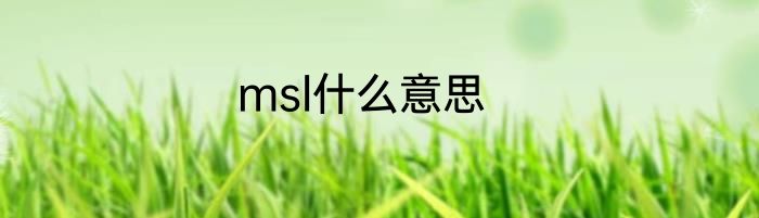 msl什么意思