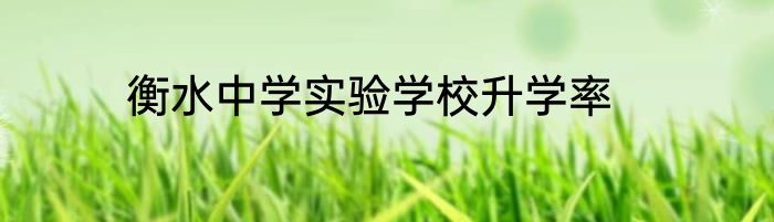 衡水中学实验学校升学率