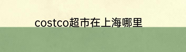 costco超市在上海哪里