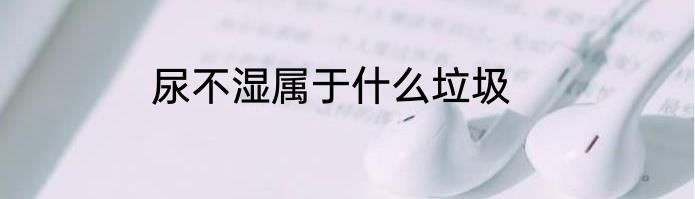 尿不湿属于什么垃圾