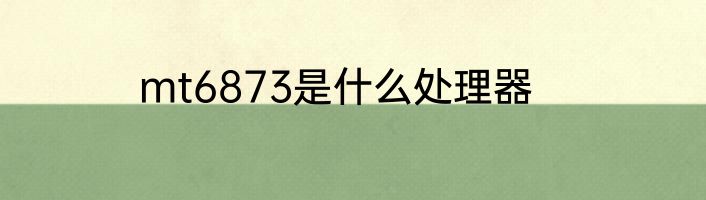 mt6873是什么处理器
