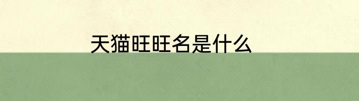 天猫旺旺名是什么