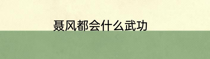 聂风都会什么武功