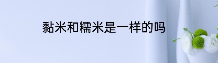 黏米和糯米是一样的吗