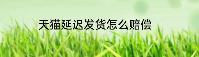 天猫延迟发货怎么赔偿