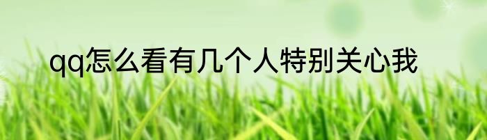 qq怎么看有几个人特别关心我