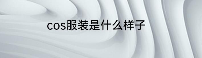 cos服装是什么样子