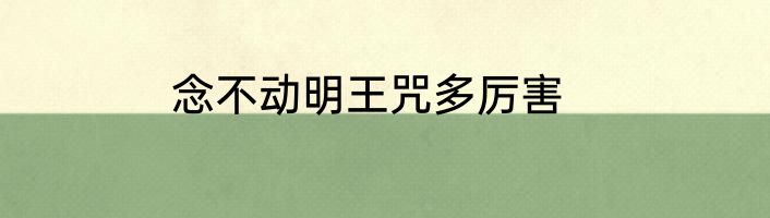 念不动明王咒多厉害