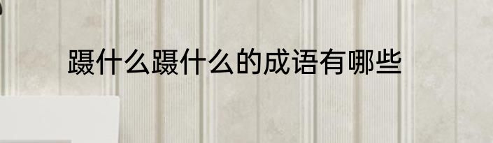 蹑什么蹑什么的成语有哪些