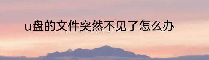 u盘的文件突然不见了怎么办