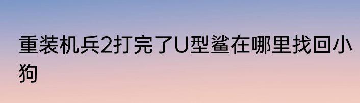 重装机兵2打完了U型鲨在哪里找回小狗