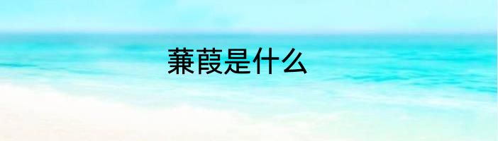 蒹葭是什么