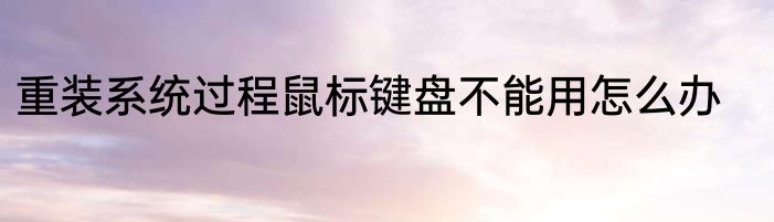 重装系统过程鼠标键盘不能用怎么办