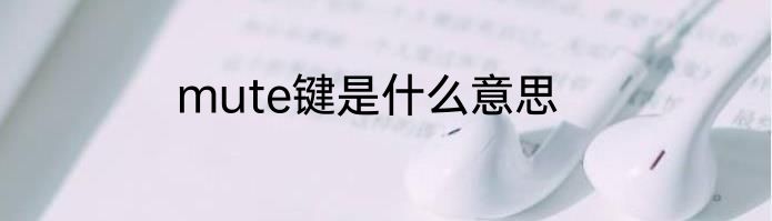 mute键是什么意思