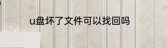 u盘坏了文件可以找回吗