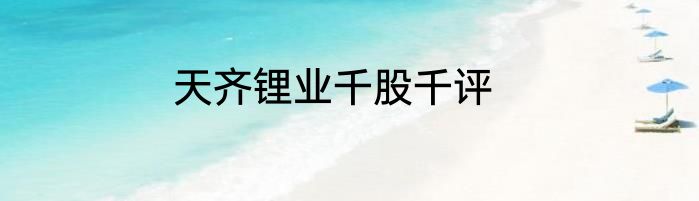 天齐锂业千股千评