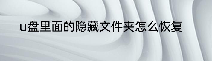 u盘里面的隐藏文件夹怎么恢复