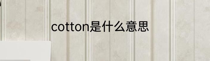 cotton是什么意思