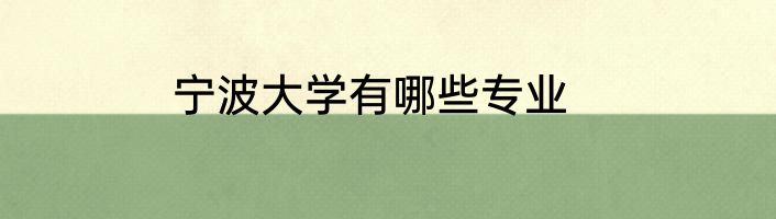 宁波大学有哪些专业