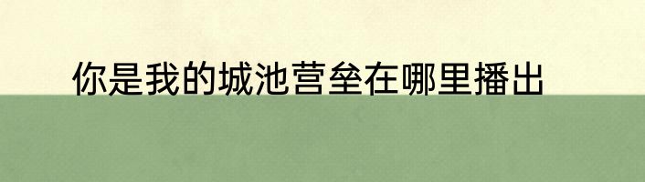 你是我的城池营垒在哪里播出