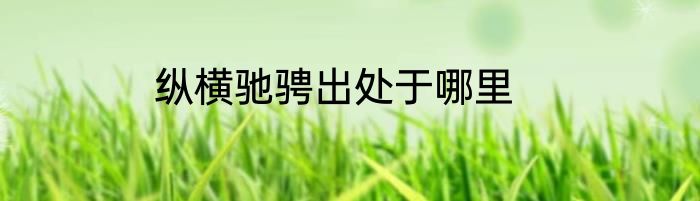 纵横驰骋出处于哪里