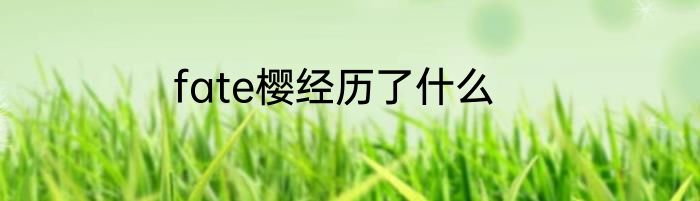 fate樱经历了什么