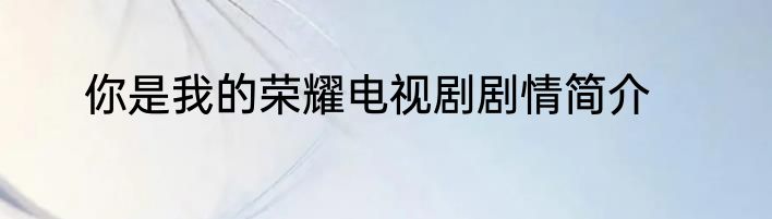 你是我的荣耀电视剧剧情简介