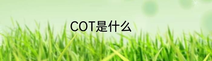 COT是什么