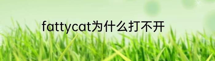 fattycat为什么打不开