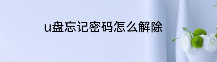 u盘忘记密码怎么解除