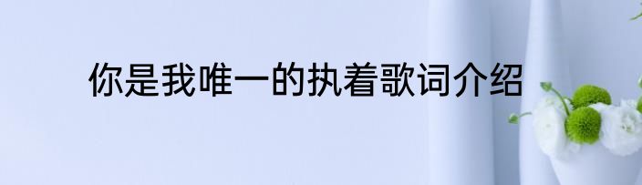 你是我唯一的执着歌词介绍