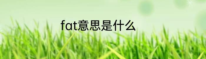fat意思是什么