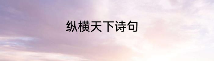 纵横天下诗句