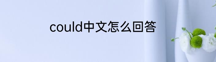 could中文怎么回答