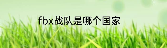 fbx战队是哪个国家