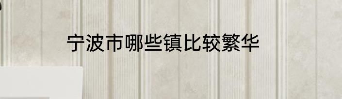 宁波市哪些镇比较繁华