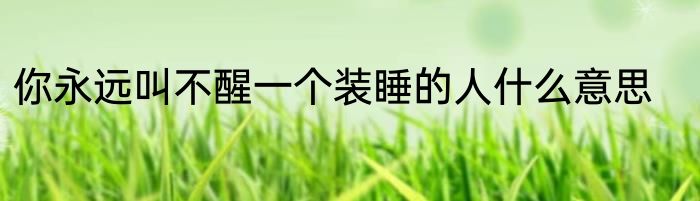 你永远叫不醒一个装睡的人什么意思