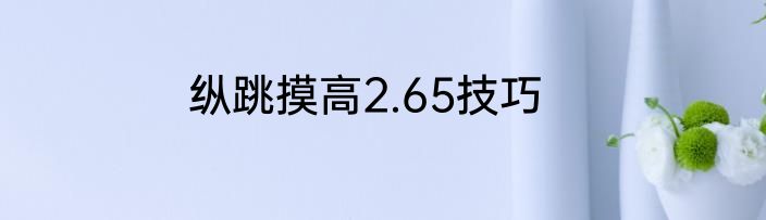 纵跳摸高2.65技巧