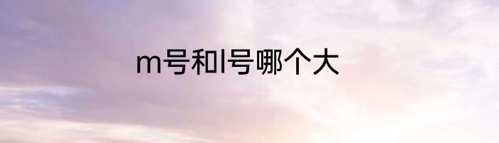 m号和l号哪个大