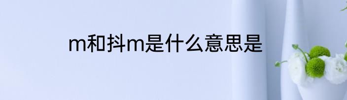m和抖m是什么意思是