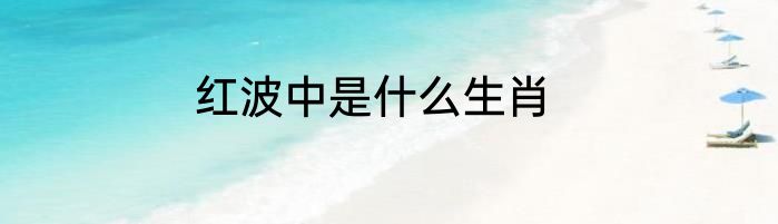 红波中是什么生肖