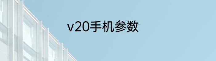 v20手机参数