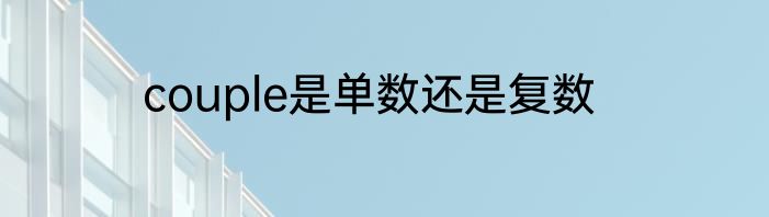 couple是单数还是复数